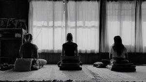 Meditator sitting on a cushion facing a quiet garden at a silent retreat